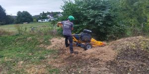 ♻️ Häckseln, Stubbenfräsen und Entsorgung